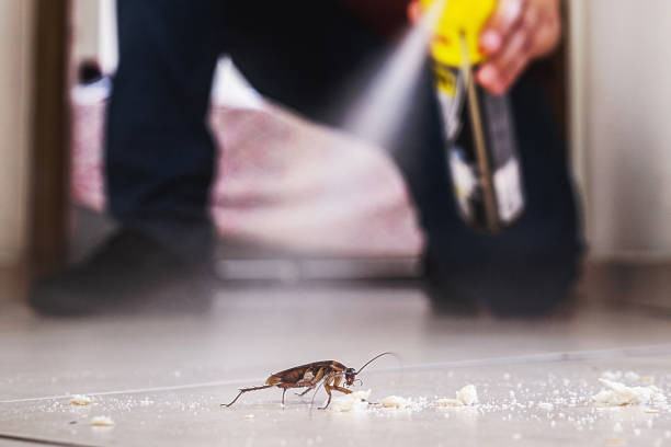 Best Termite Control Services  in Gillette, NJ