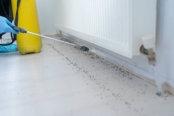 Best Pest Prevention Services  in Gillette, NJ